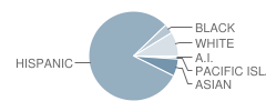 Loretta Lampton Elementary School Student Race Distribution