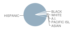 Cesar Chavez Elementary School Student Race Distribution