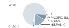 Sinaloa Middle School Student Race Distribution