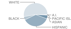 Hill Middle School Student Race Distribution