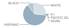 Nuview Bridge Academy Student Race Distribution