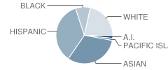 Hayes Elementary School Student Race Distribution