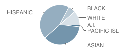 Parkview Elementary School Student Race Distribution