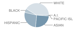 Sakamoto Elementary School Student Race Distribution