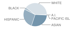 Taylor (Bertha) Elementary School Student Race Distribution