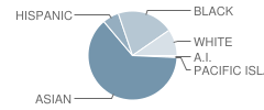 Cleveland Elementary School Student Race Distribution