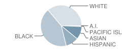 Kaiser Elementary School Student Race Distribution