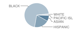 Marshall Elementary School Student Race Distribution