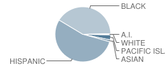 Markham Elementary School Student Race Distribution