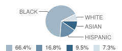 Martin Luther King Jr. Elementary School Student Race Distribution