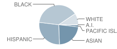 Skyline High School Student Race Distribution