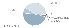 Vintage Parkway Elementary School Student Race Distribution