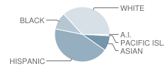 Gehringer Elementary School Student Race Distribution