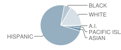 E. G. Garrison Elementary School Student Race Distribution