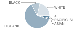 Ocean Shores High (Continuation) School Student Race Distribution