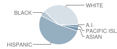 Palmquist Elementary School Student Race Distribution