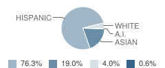 Orange Center Elementary School Student Race Distribution