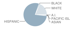 Cambridge Elementary School Student Race Distribution