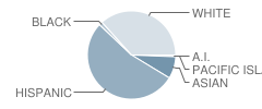 El Modena High School Student Race Distribution