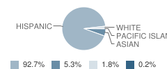 Esplanade Elementary School Student Race Distribution
