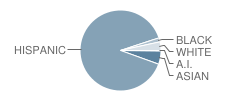 Sycamore Elementary School Student Race Distribution