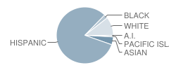 West Orange Elementary School Student Race Distribution