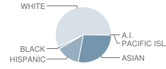 Running Springs Elementary School Student Race Distribution