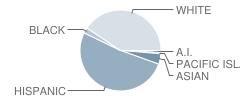 Joe Nightingale Elementary School Student Race Distribution