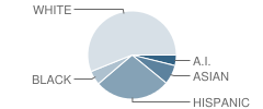 Bird Street Elementary School Student Race Distribution