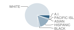 Stanford Avenue Elementary School Student Race Distribution