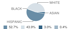 Bradley Elementary School Student Race Distribution