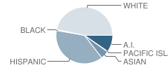 Helen M. Wilcox Elementary School Student Race Distribution