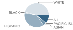 Palermo School Student Race Distribution