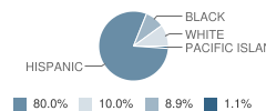 Ramon Academy Student Race Distribution