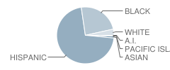 Tamarisk Elementary School Student Race Distribution