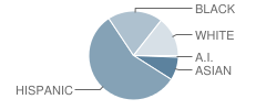 Summerwind Elementary School Student Race Distribution