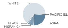 Walter Hays Elementary School Student Race Distribution