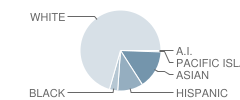 Miraleste Intermediate School Student Race Distribution