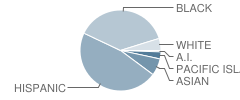 Captain Raymond Collins School Student Race Distribution