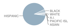 Abraham Lincoln School Student Race Distribution