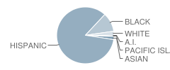 Paramount High School Student Race Distribution