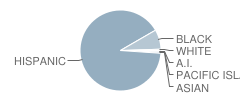 Frank J. Zamboni School Student Race Distribution