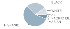 Blair High School Student Race Distribution