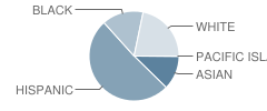 Hamilton Elementary School Student Race Distribution