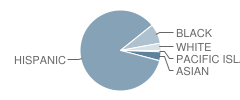 Jefferson Elementary School Student Race Distribution