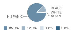 Washington Accelerated Elementary School Student Race Distribution