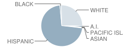 Lloyd G. Johnson Junior High School Student Race Distribution