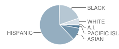 Central Junior High School Student Race Distribution