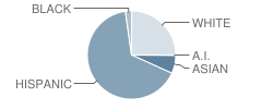 Morse Avenue Elementary School Student Race Distribution