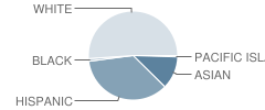 Mabel M. Paine Elementary School Student Race Distribution